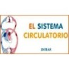 Sistema circulatorio